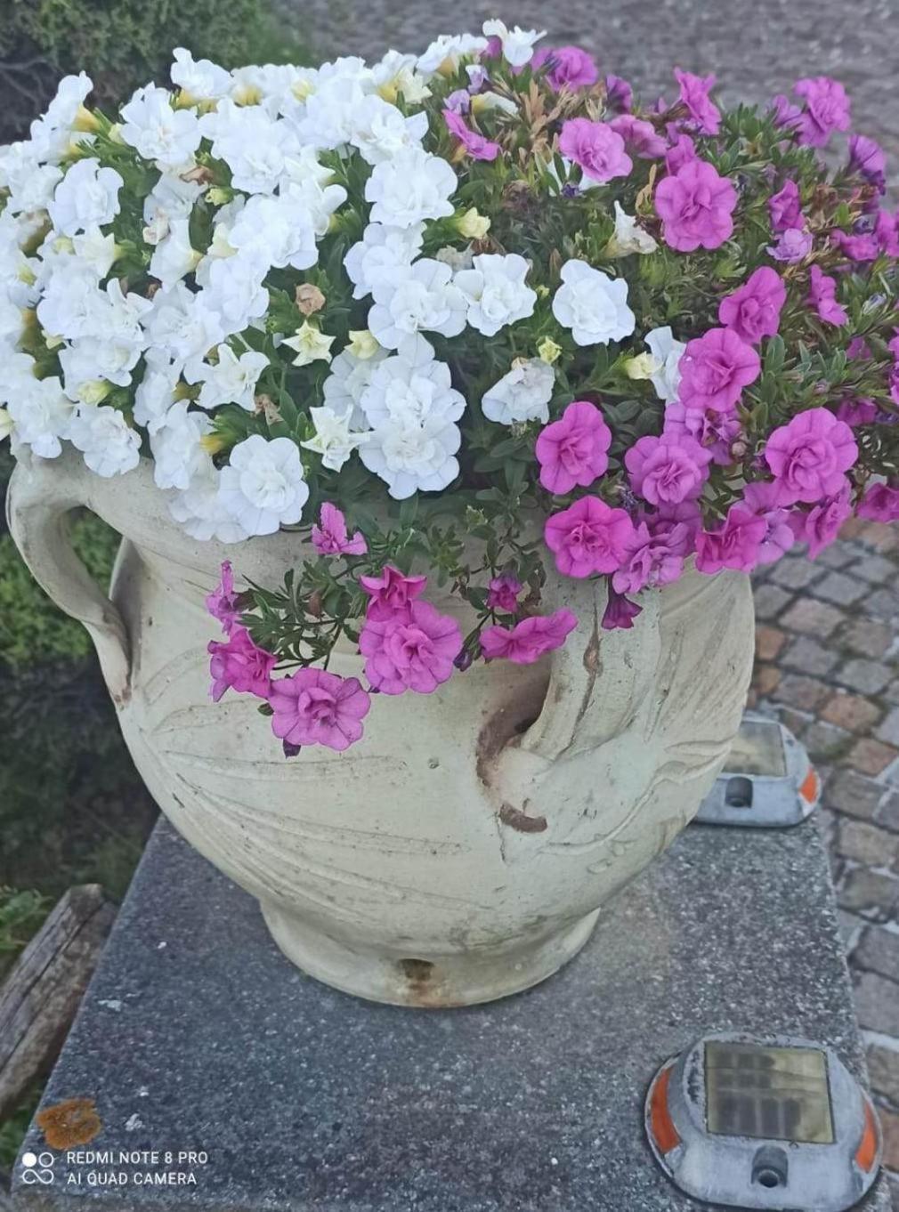 Casa Dello Scoglio Nel Mare Apartment Paceco Luaran gambar